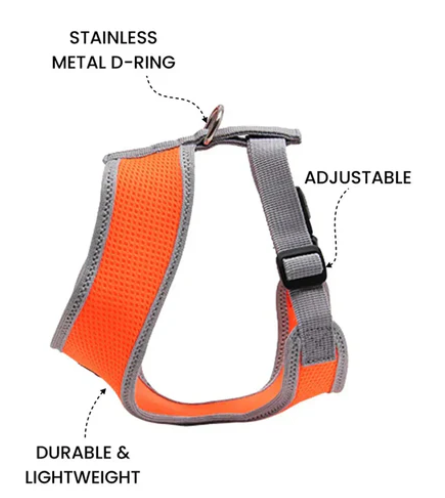Dog Harness