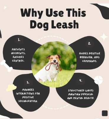 Dog Training Leash