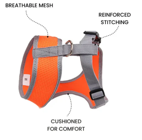 Dog Harness