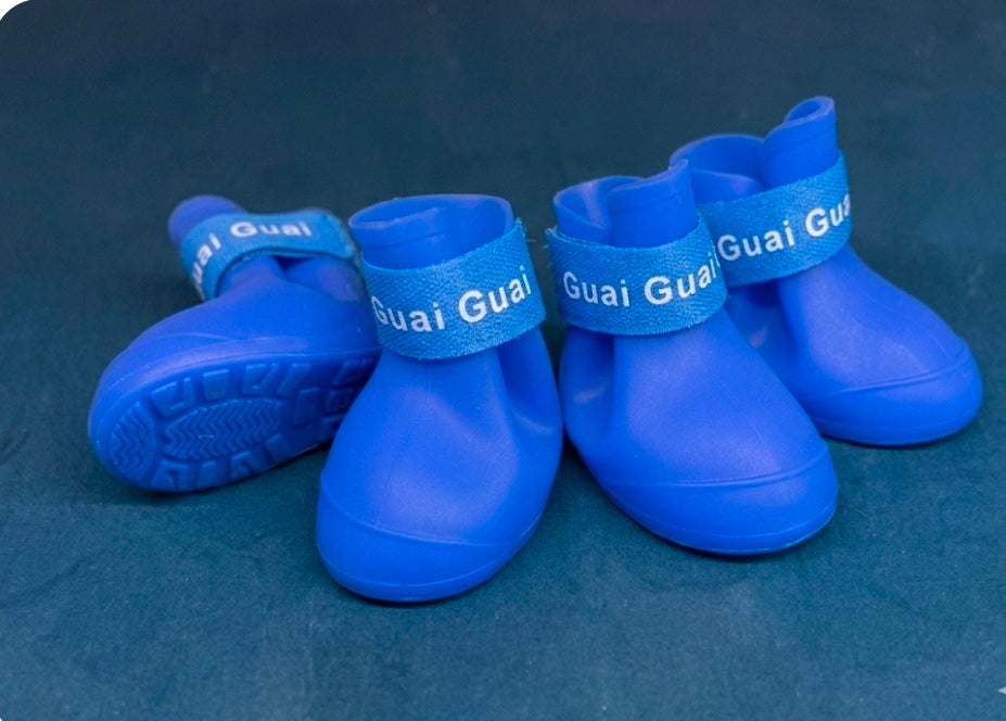 Dog shoes